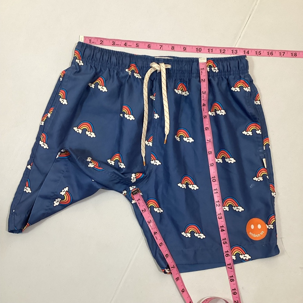 Pacsun Ambsn California Rainbow Swim Trunks - Picture 7 of 8